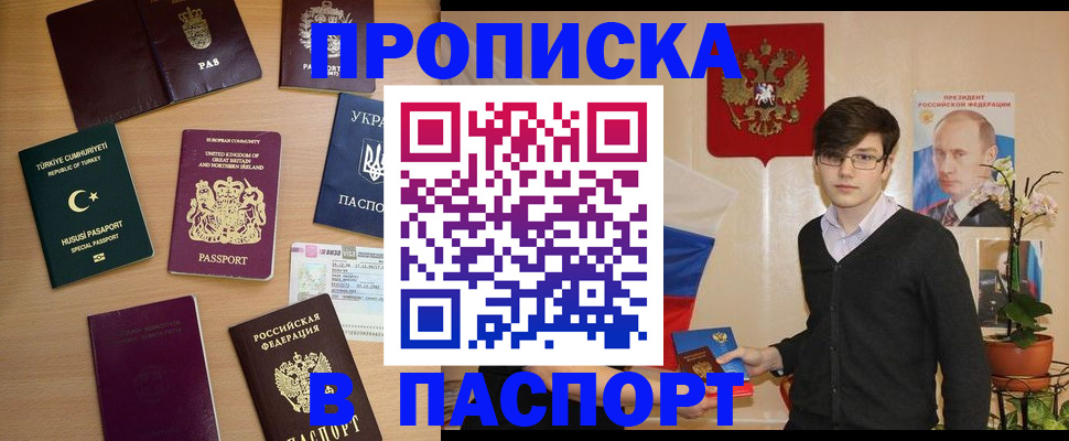прописка 2025 в Волоколамске
